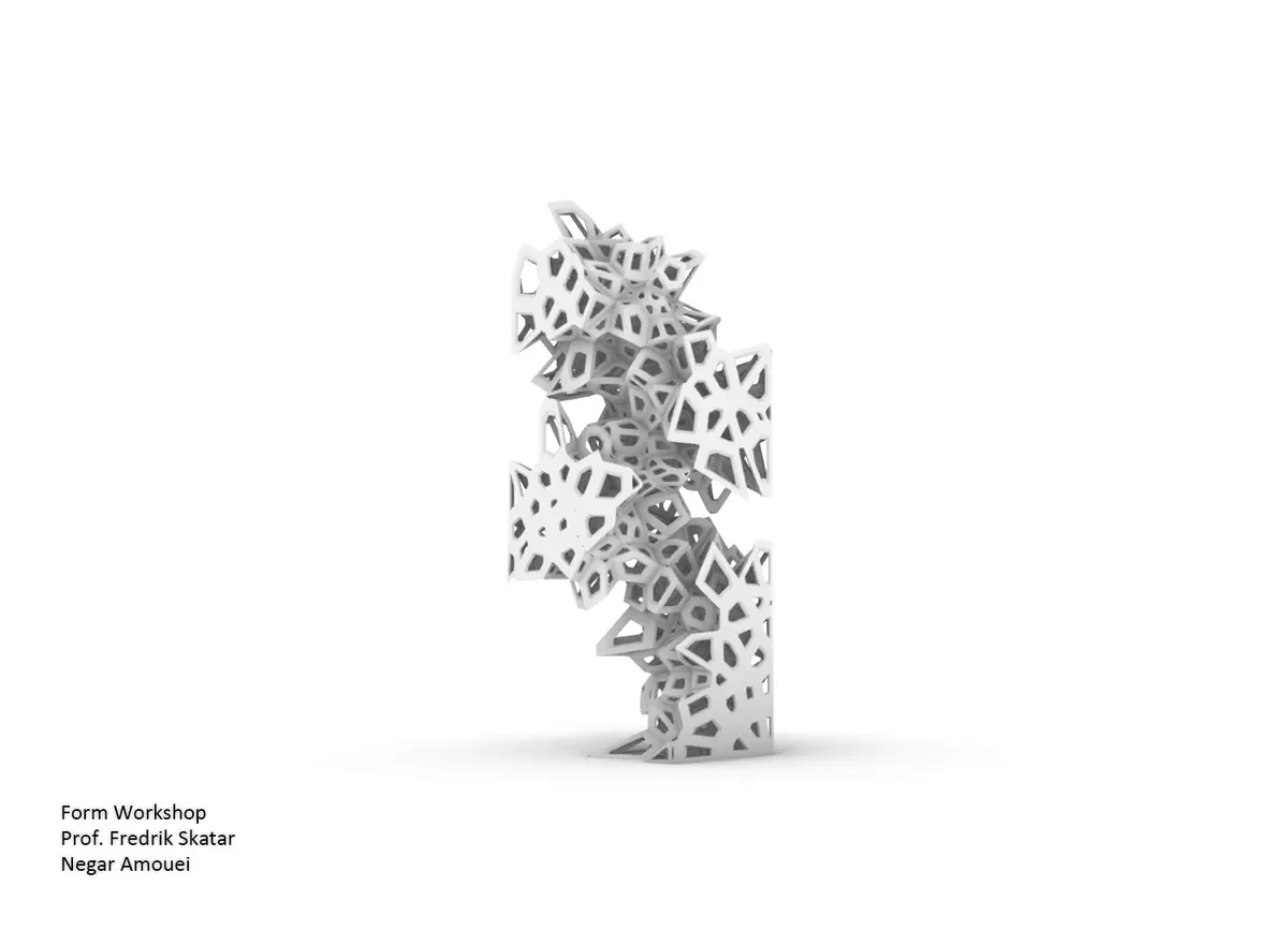 Negar Amouei - Final-model2